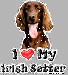 i_love_my_irish-setter_2